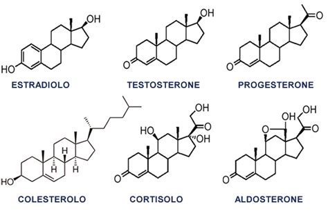 Struttura chimica degli ormoni estrogeni e progestinici