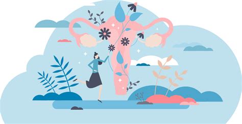 illustrazione anatomica del benessere intimo femminile