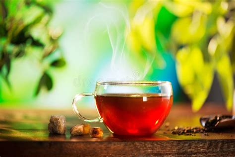 Tazza di tisana fumante con erbe secche