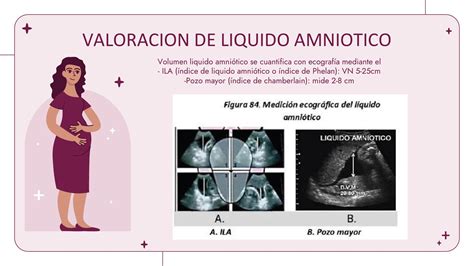 diagramma esplicativo del calcolo dell'indice del liquido amniotico (AFI)