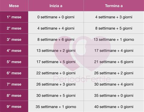 Timeline della gravidanza con mesi e settimane