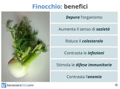 Benefici digestivi del finocchio e della melissa
