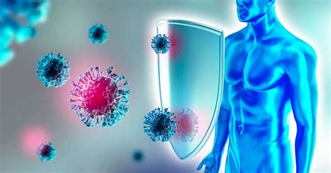 rappresentazione grafica del sistema immunitario che combatte virus e batteri durante uno stato febbrile