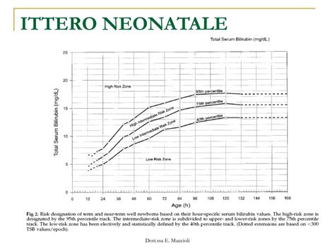 Tipi di ittero neonatale