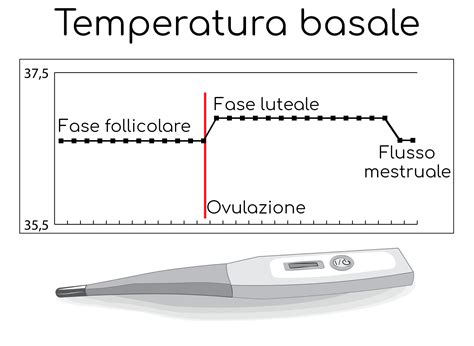 Strumenti per la misurazione della temperatura basale