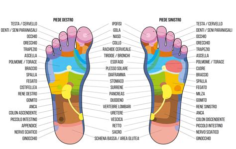 diagramma esplicativo del posizionamento dei gommini antiscivolo sulla pianta del piede
