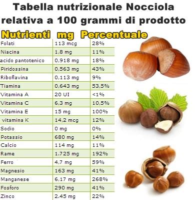 Infografica: Composizione nutrizionale nocciole