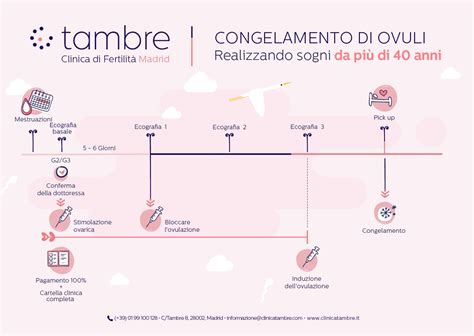 Schema del processo di congelamento degli ovuli