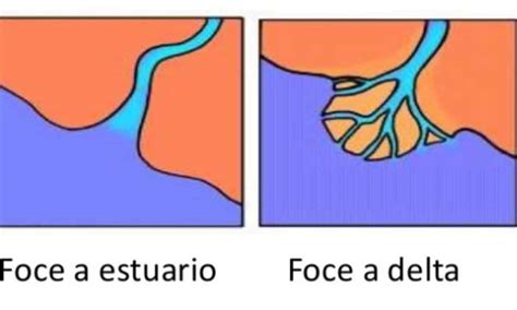 rappresentazione grafica di una foce a delta e un estuario