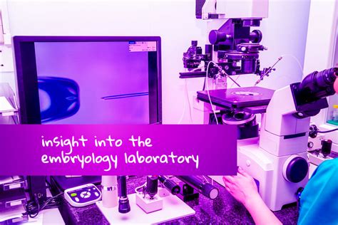 Laboratorio di embriologia con microscopi