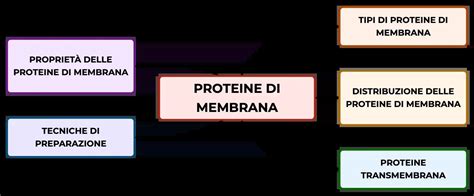 Proteine della membrana spermatica