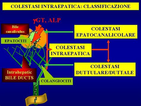 Diagramma comparativo delle varianti PRUV intraepatica ed extraepatica
