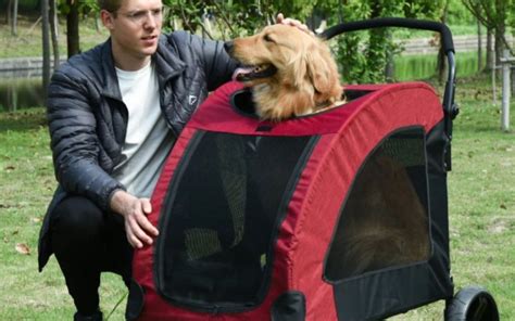 Tipi di passeggino