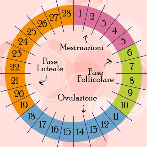Ciclo mestruale e fasi fertili