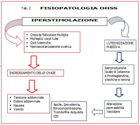 Infografica sulla Sindrome da Iperstimolazione Ovarica