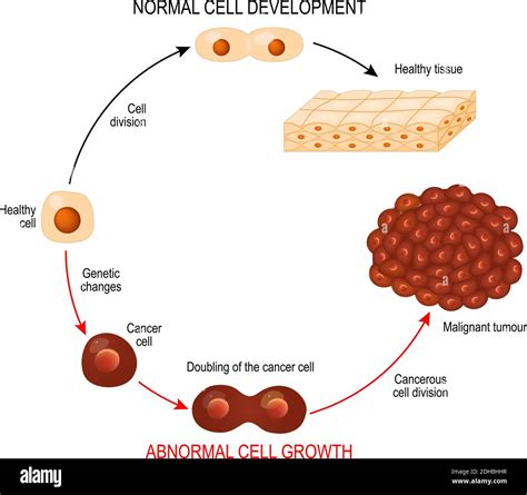 illustrazione di un marcatore tumorale che interagisce con cellule tumorali
