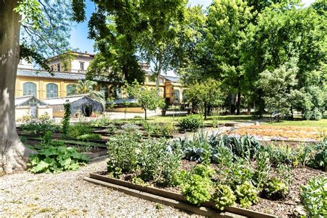 veduta panoramica del giardino e della zona piscina del B&B La Taverna dei Ciucci