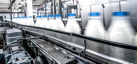 Schema dei processi di innovazione tecnologica nel settore lattiero-caseario