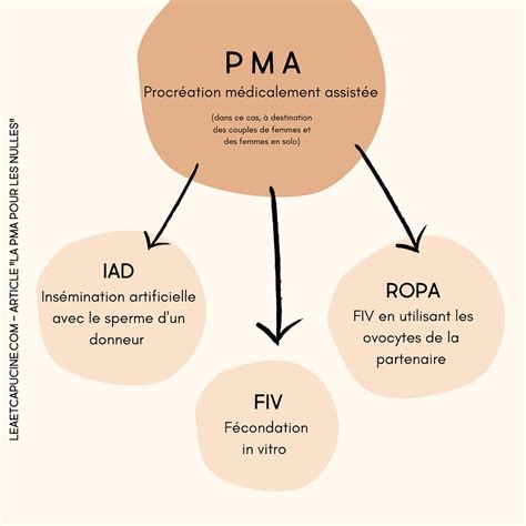 schema PMA