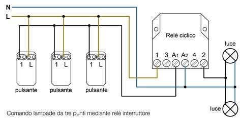 schema ciclico dell'endometrio e ormoni