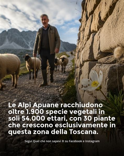 Gruppo di avannotti che si nascondono tra le piante