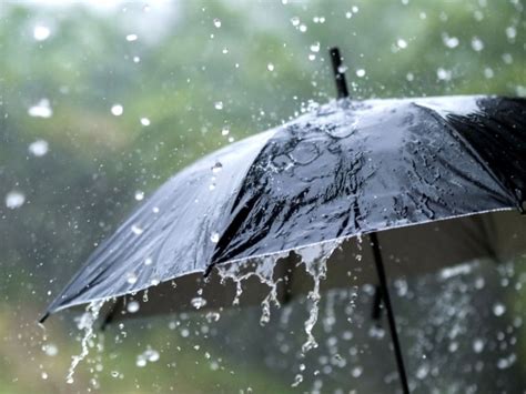 Passeggino con ombrello in caso di pioggia