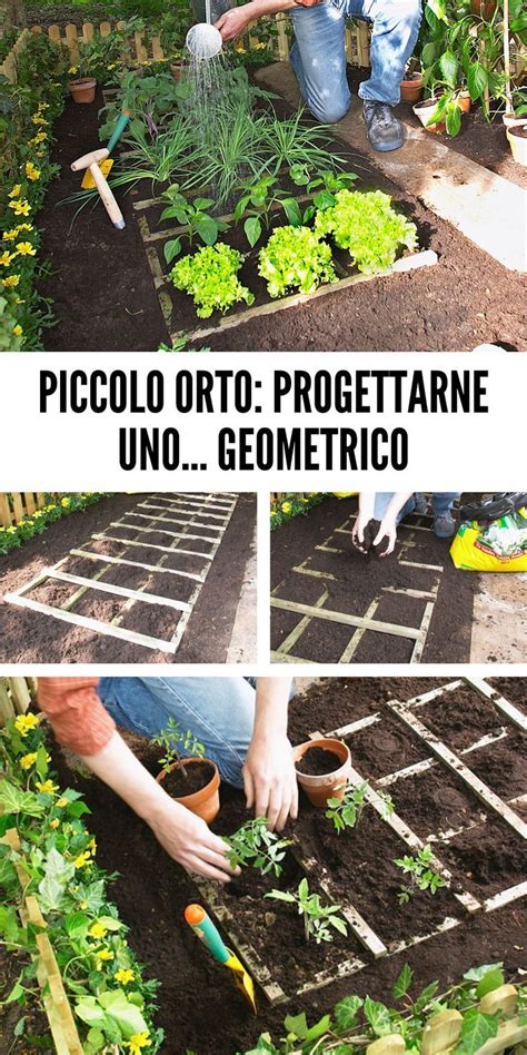 illustrazione metaforica di un piccolo orto dove verdure amiche accolgono un carciofo che ha smesso di essere prepotente