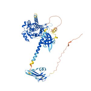 Diagramma semplificato del gene ACVR1