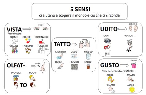 Mappa dei cinque sensi tradizionali