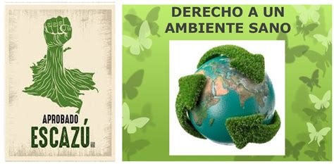Bambino in un ambiente domestico sano