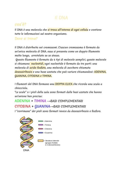 rappresentazione stilizzata di un DNA circondato da elementi nutrizionali