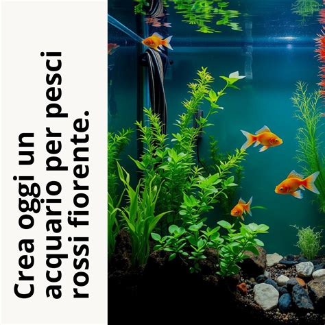 Schema di un acquario ideale con piante a crescita rapida per nascondigli