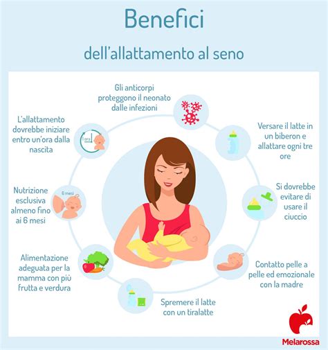 infografica sui benefici dell'allattamento a breve e lungo termine