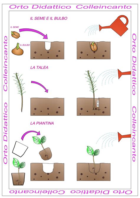 Schema di un orto didattico e zone verdi attrezzate per l'infanzia