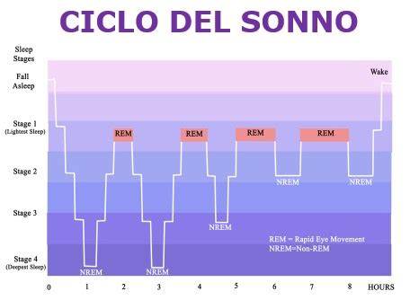 Grafico del ciclo del sonno infantile