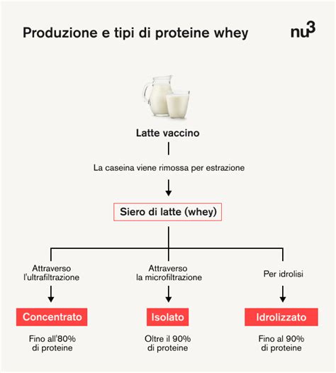 Tipi di proteine del siero del latte: concentrate, isolate, idrolizzate