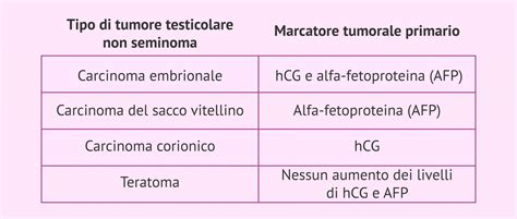 Tumore testicolare marker HCG