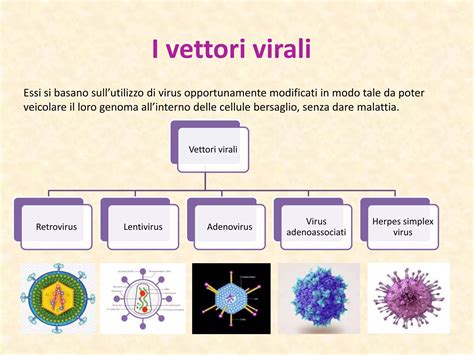 rappresentazione schematica della vaccinazione eterologa che combina vettori virali e mRNA