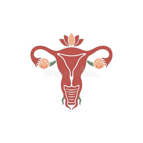 Illustrazione anatomica delle tube di Falloppio e dell'utero con evidenza di GEU