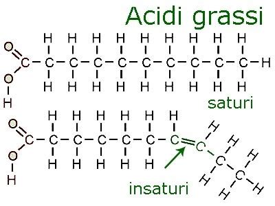 Struttura molecolare degli acidi grassi essenziali