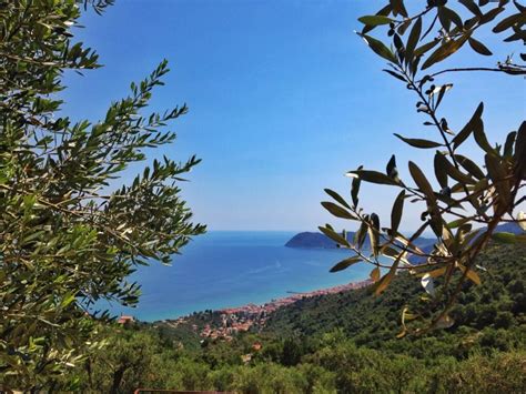 Panorama collinare ligure con uliveti