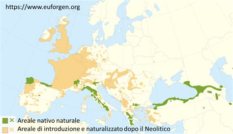 mappa di distribuzione geografica del Dwarf Mosquitofish