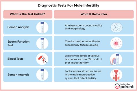 Image showing different fertility diagnostic tests