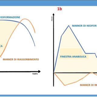 rappresentazione schematica dell'adenomiosi nel miometrio