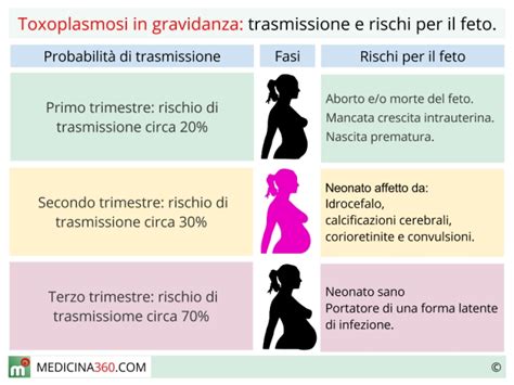 infografica sui rischi della toxoplasmosi congenita per trimestre di gravidanza