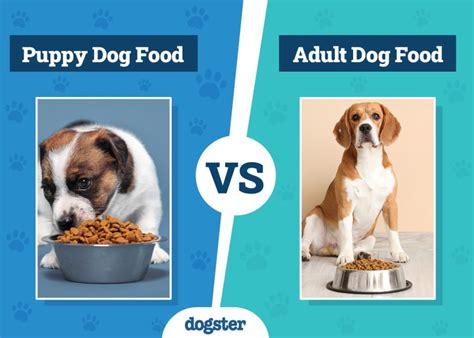 Puppy food vs. adult dog food comparison