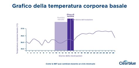 Grafico della temperatura basale corporea e dei livelli ormonali durante il ciclo