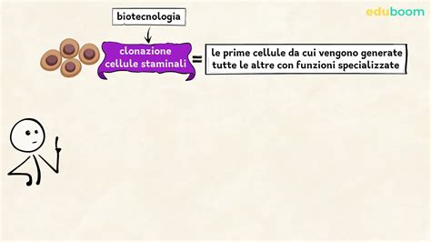 diagramma del clonaggio cellulare in patologie ematologiche