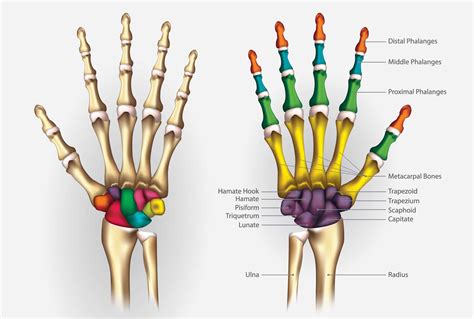 Dettaglio delle finiture dell'ecopelle e dei punti di articolazione del seggiolone Mila