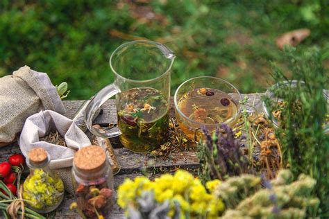 Piante medicinali per il raffreddore